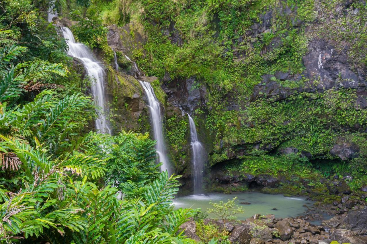 ラハイナ Kaleialoha 213ヴィラ エクステリア 写真